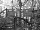 Une cabane au milieu d'une forêt. Nous sommes en plein centre ville.